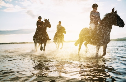 paardensport