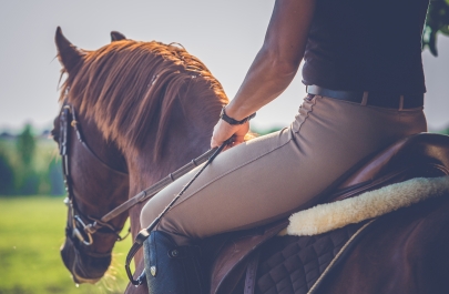 zijaanzicht van sporter op een bruin paard